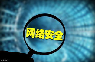 信息安全守护者 防毒软件与智能化开发的星辰之网